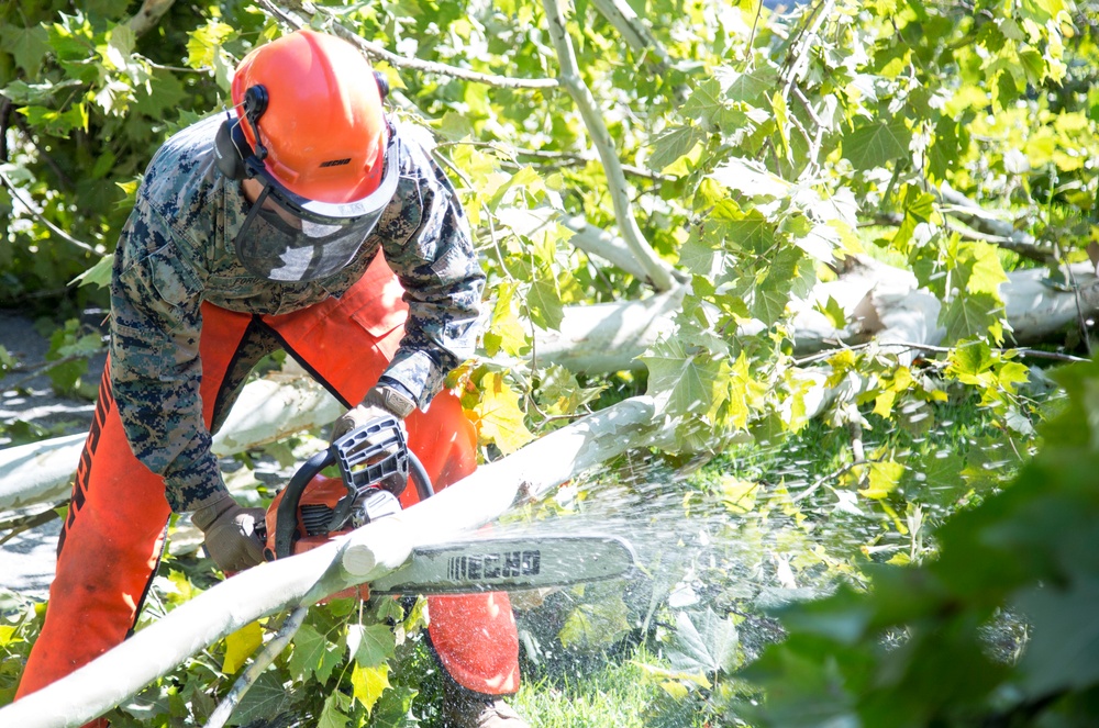 MCB Camp Lejeune clean up of Hurricane Isaias