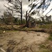 Soldiers and Airmen of the NC National Guard supporting State partners in the  aftermath of Hurricane Isaias.