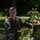 A young male service member in U.S. Marine Corps MARPAT woodland camouflage uniform is crouching on a large fallen tree. The tree appears to have been recently downed, with fresh wood exposed at a break point and green leaves still attached to the branches. The setting appears to be a grassy, tree-lined area, possibly a base or residential neighborhood.