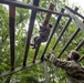 Marne Obstacle Course at West Point