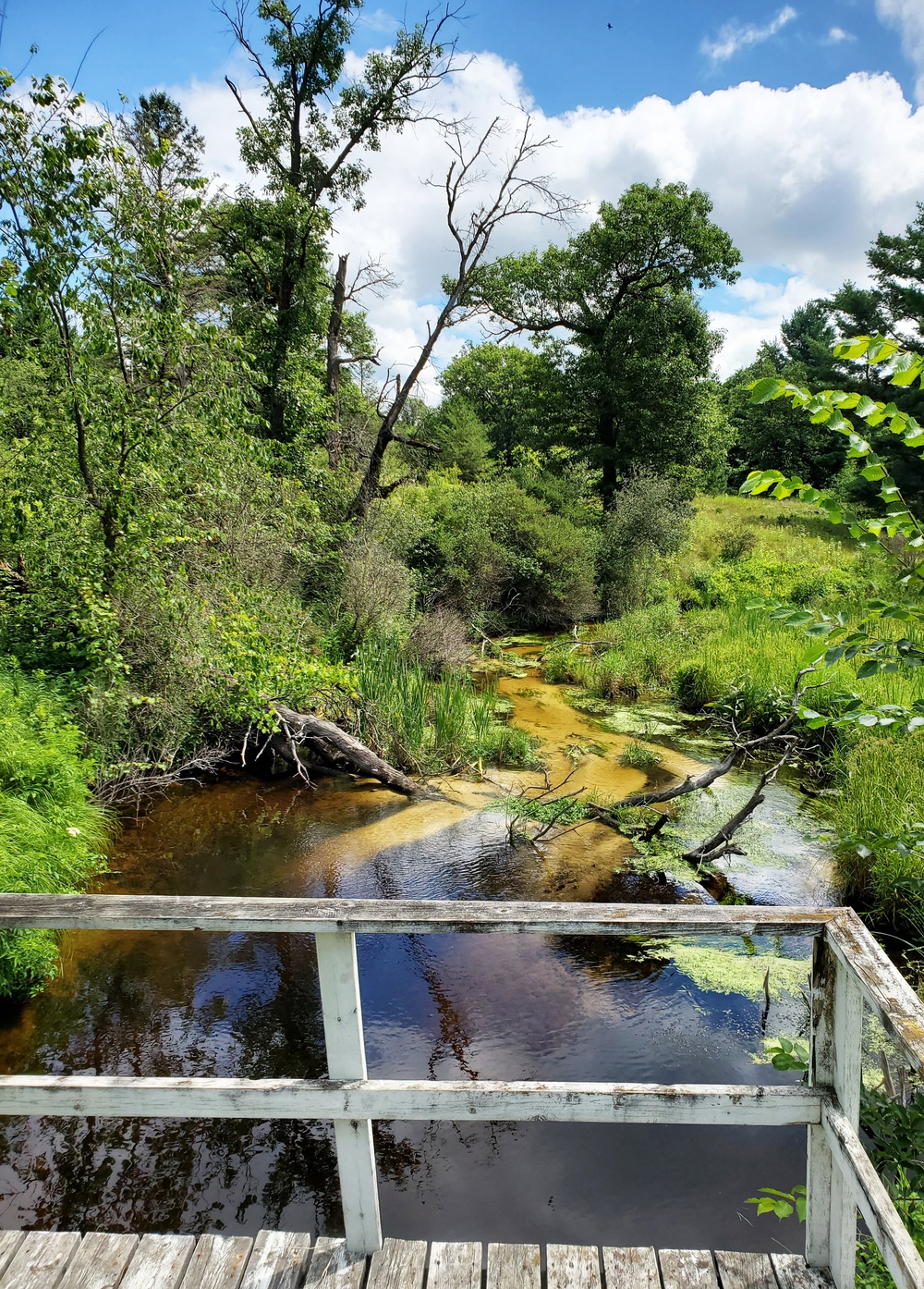 Fort McCoy trout stream