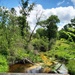 Fort McCoy trout stream