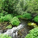 Fort McCoy trout stream