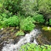 Fort McCoy trout stream