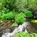 Fort McCoy trout stream