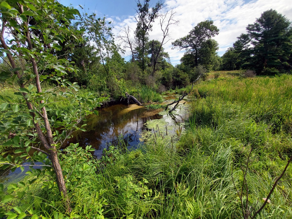 Fort McCoy trout stream