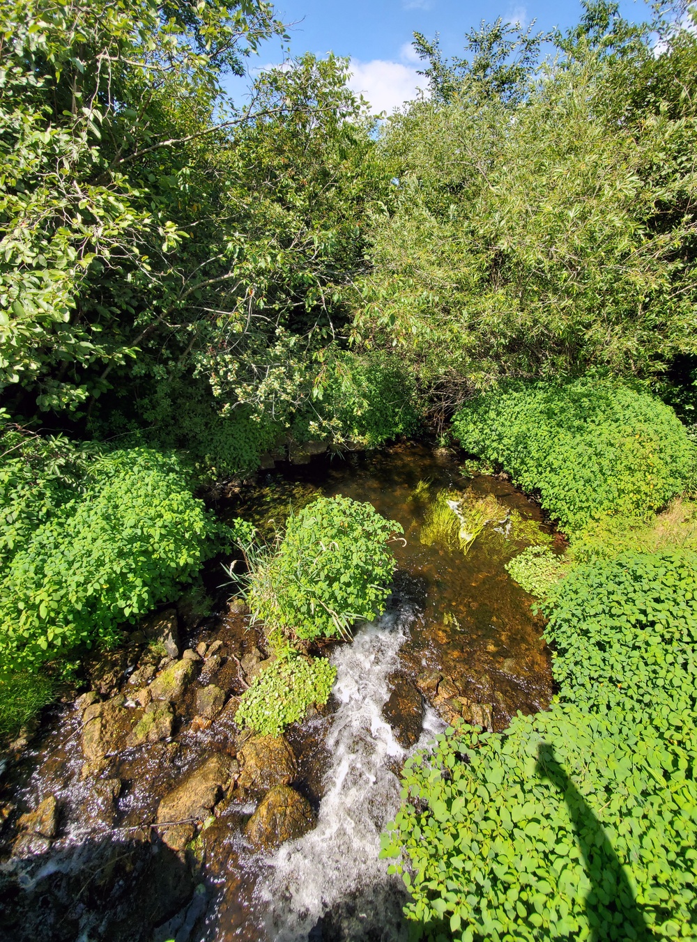 Fort McCoy trout stream