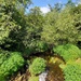 Fort McCoy trout stream