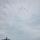 USS Ronald Reagan (CVN 76) Flight Operations USS Ronald Reagan (CVN 76) Flight Operations