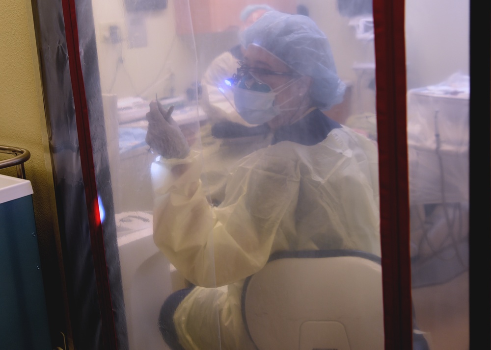 Dental undeterred through COVID-19