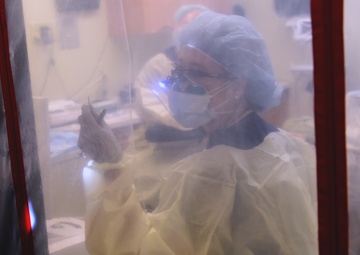 Dental undeterred through COVID-19