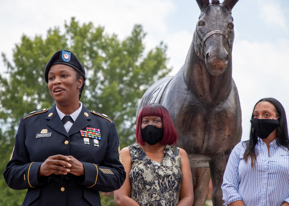 MSG Terronda D. Marshall Frocking Promotion to Sgt. Maj