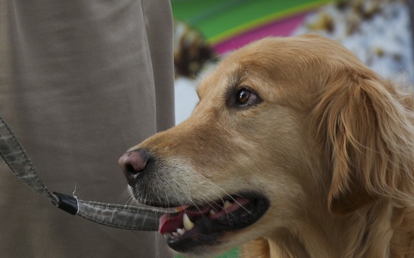 318th TPASE meets Kare 9 Military Ministry