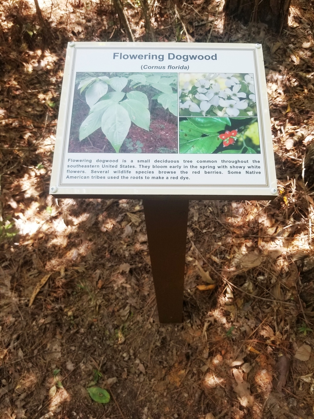 From new signs to cleared paths, upgrades to Marion Bonner are complete
