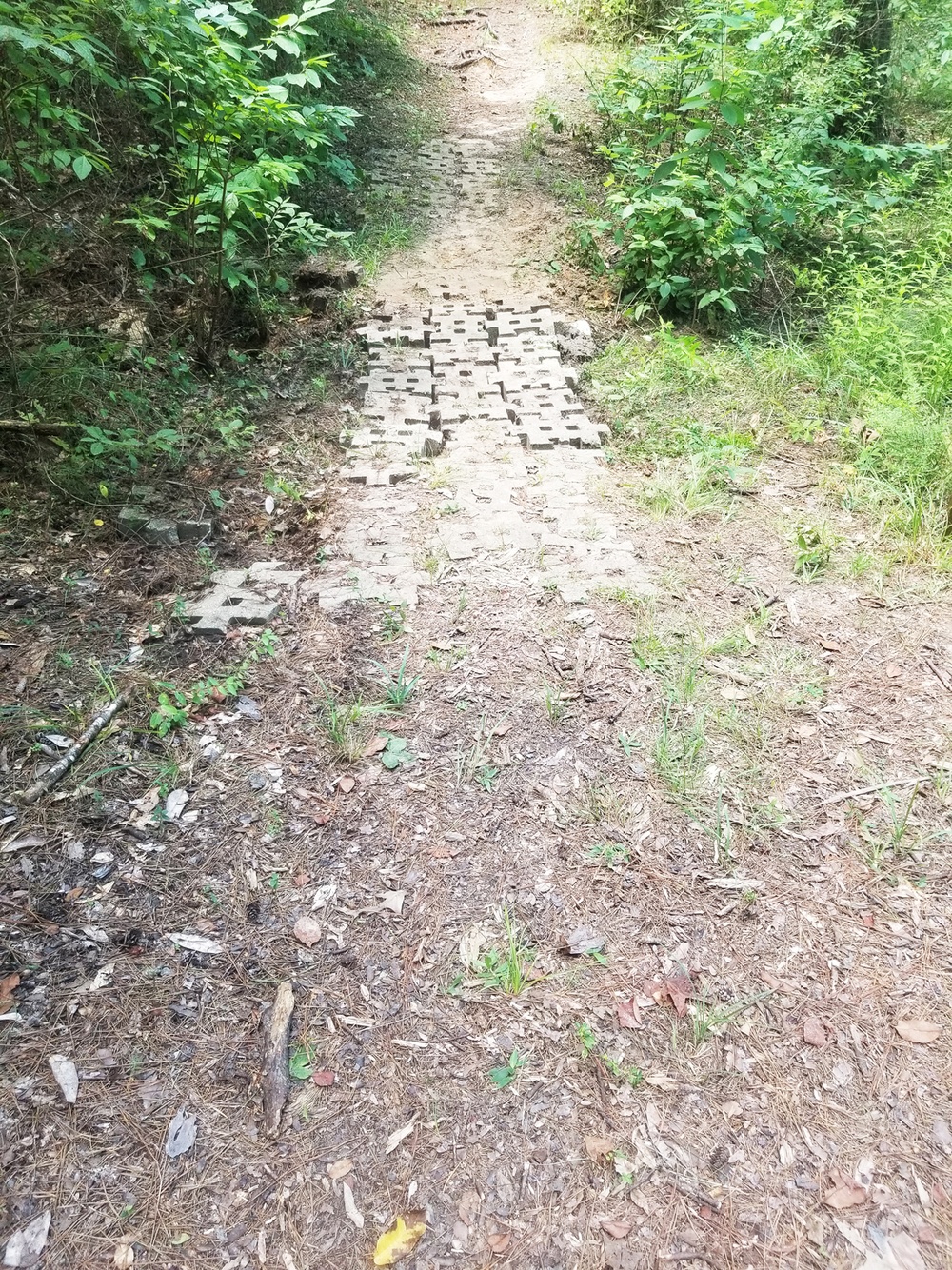 From new signs to cleared paths, upgrades to Marion Bonner are complete