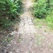 From new signs to cleared paths, upgrades to Marion Bonner are complete