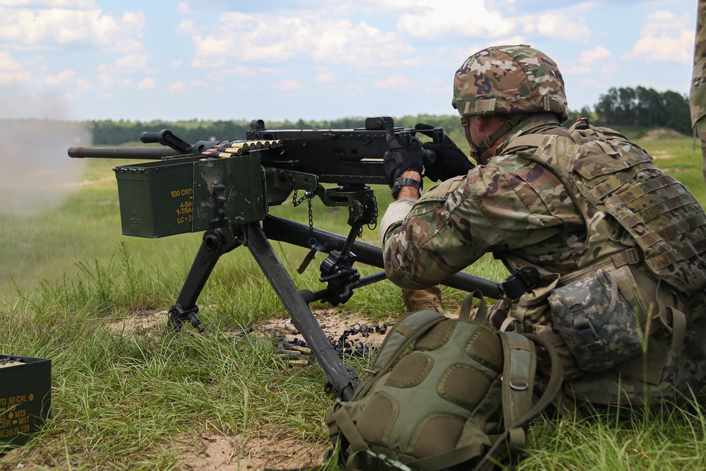 Charlie and Delta Company, 1st Batallion, 173rd Infantry Regiment Annual Training