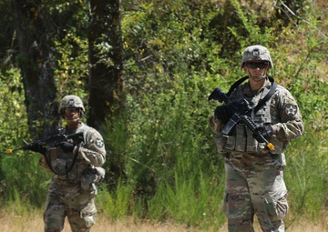 Soldiers conduct Situational Training Exercise