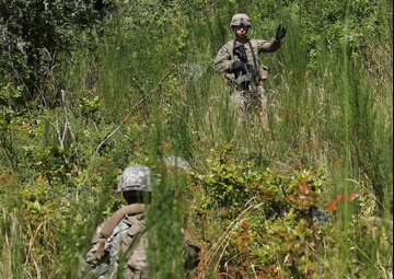 Soldiers conduct Situational Training Exercise