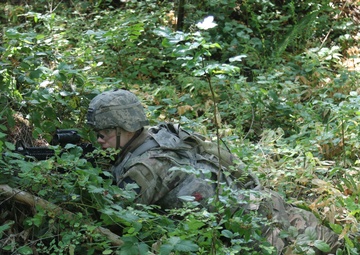 Soldiers conduct Situational Training Exercise