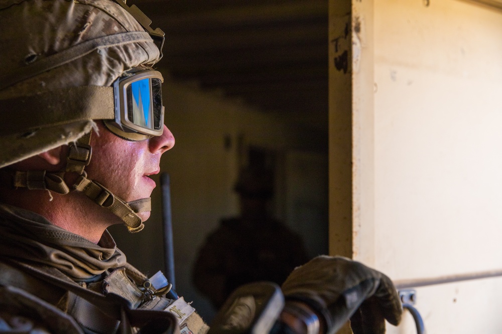 V34 TRAP Certification