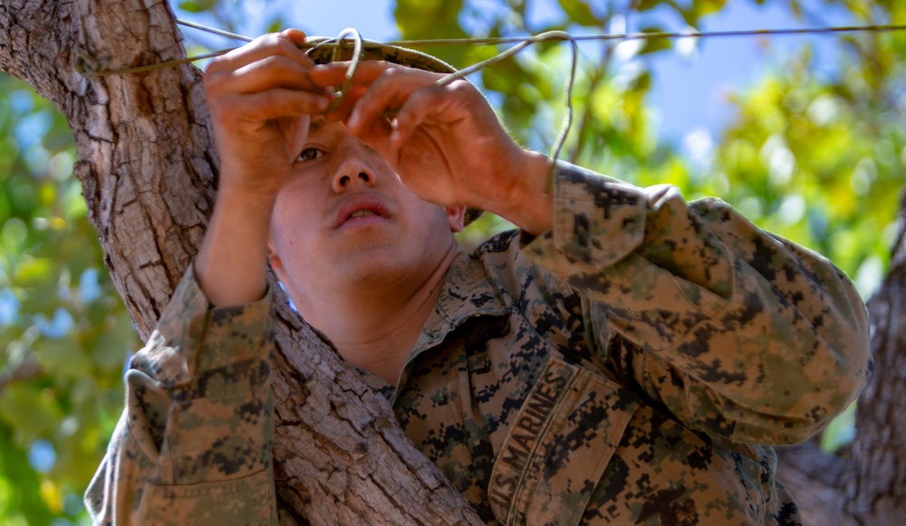 U.S. Marines conduct platoon attack training