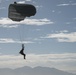 It's a bird, it's a plane... it's a PJ