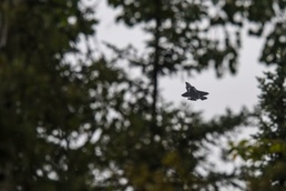 RED FLAG-Alaska 20-3