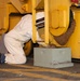 Beekeeper saves a lost swarm at the TRFB Delta Pier