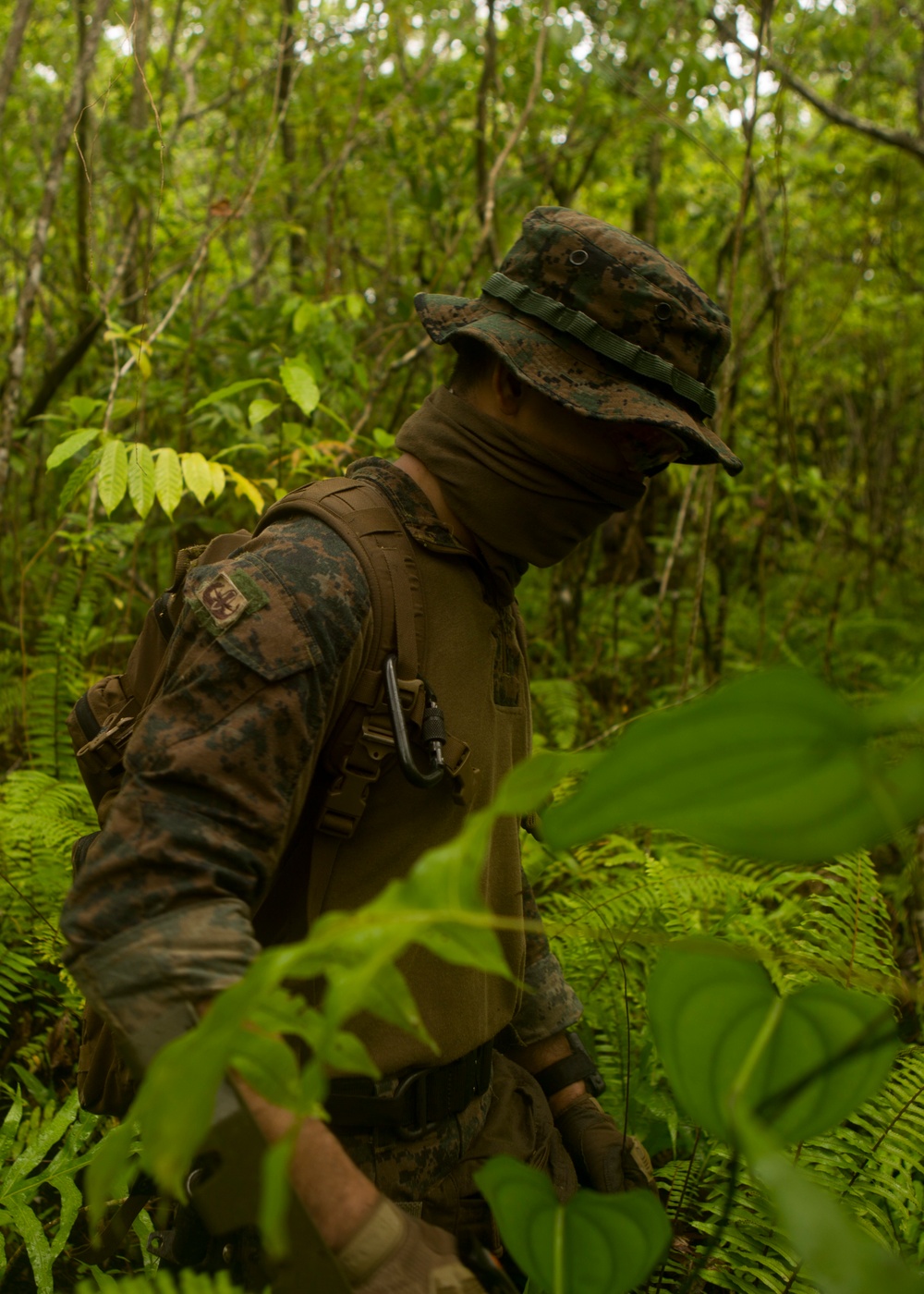 EOD Marines Sweep Jungle for UXO
