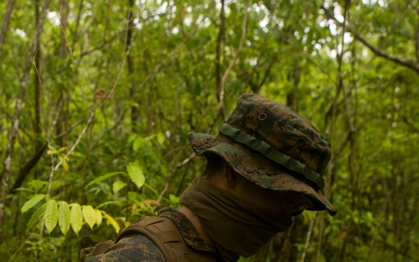 EOD Marines Sweep Jungle for UXO