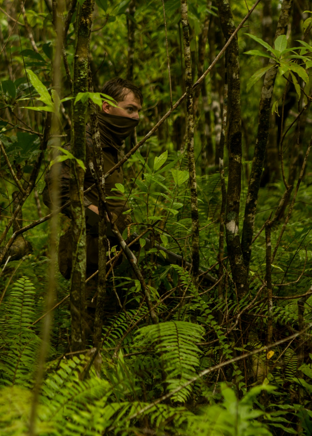 EOD Marines Sweep Jungle for UXO
