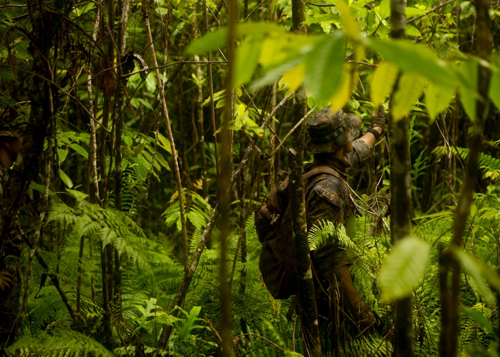 EOD Marines Sweep Jungle for UXO