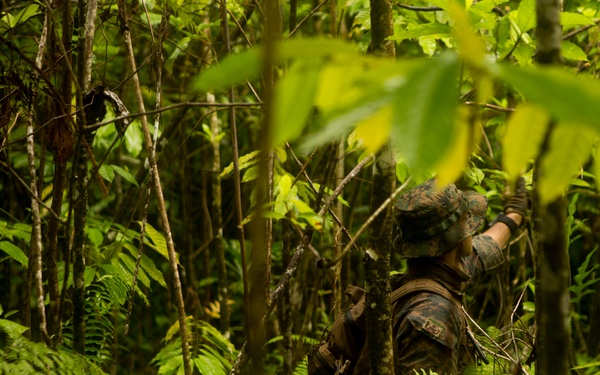 EOD Marines Sweep Jungle for UXO