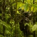 EOD Marines Sweep Jungle for UXO