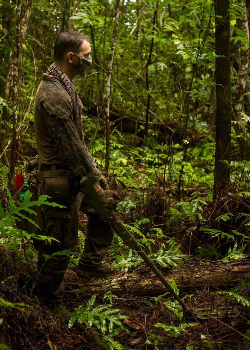 EOD Marines Sweep Jungle for UXO