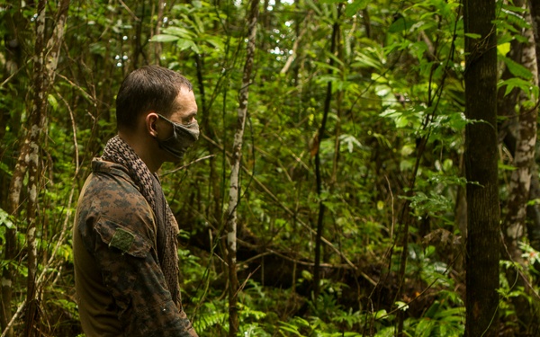 EOD Marines Sweep Jungle for UXO