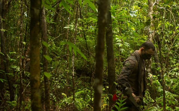 EOD Marines Sweep Jungle for UXO