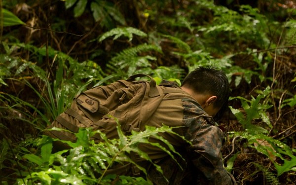 EOD Marines Sweep Jungle for UXO
