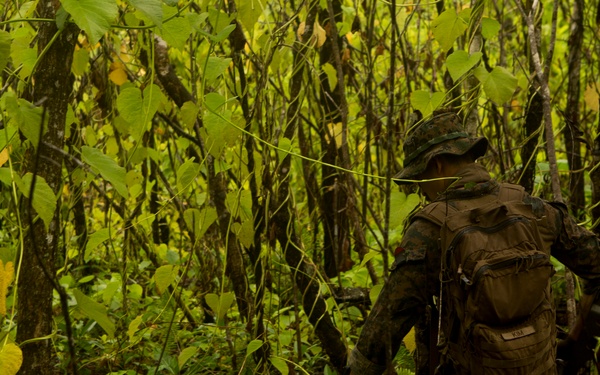 EOD Marines Sweep Jungle for UXO