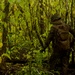 EOD Marines Sweep Jungle for UXO