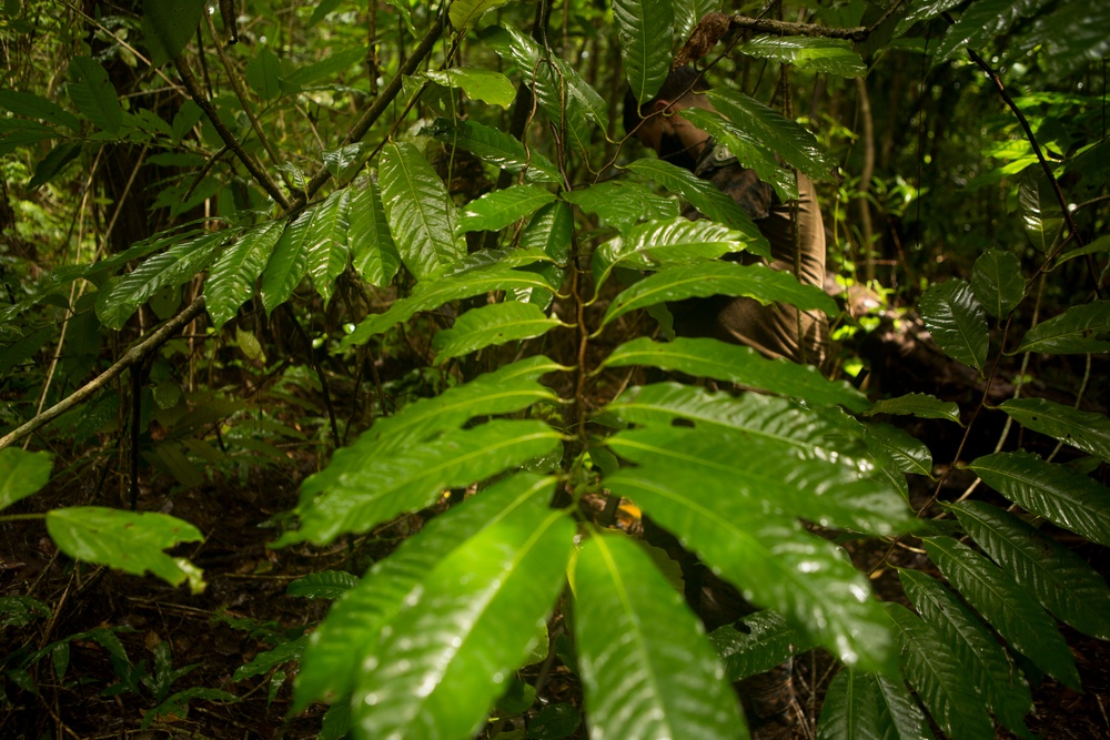 EOD Marines Sweep Jungle for UXO