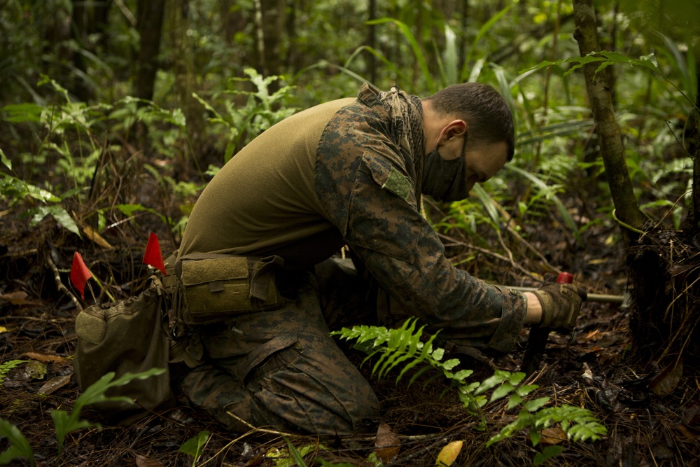 EOD Marines Sweep Jungle for UXO