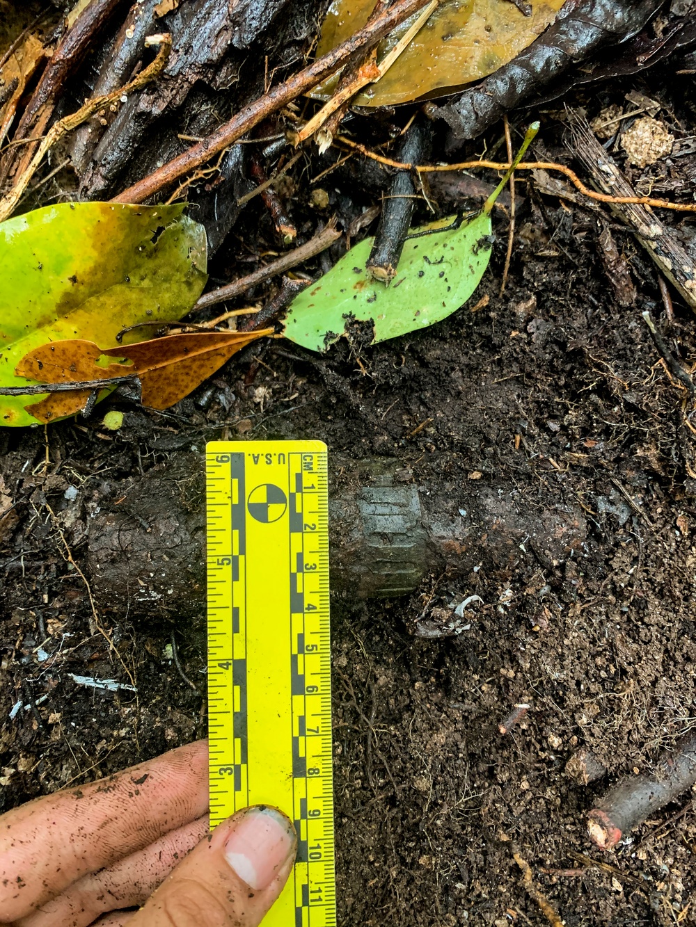 EOD Marines Sweep Jungle for UXO