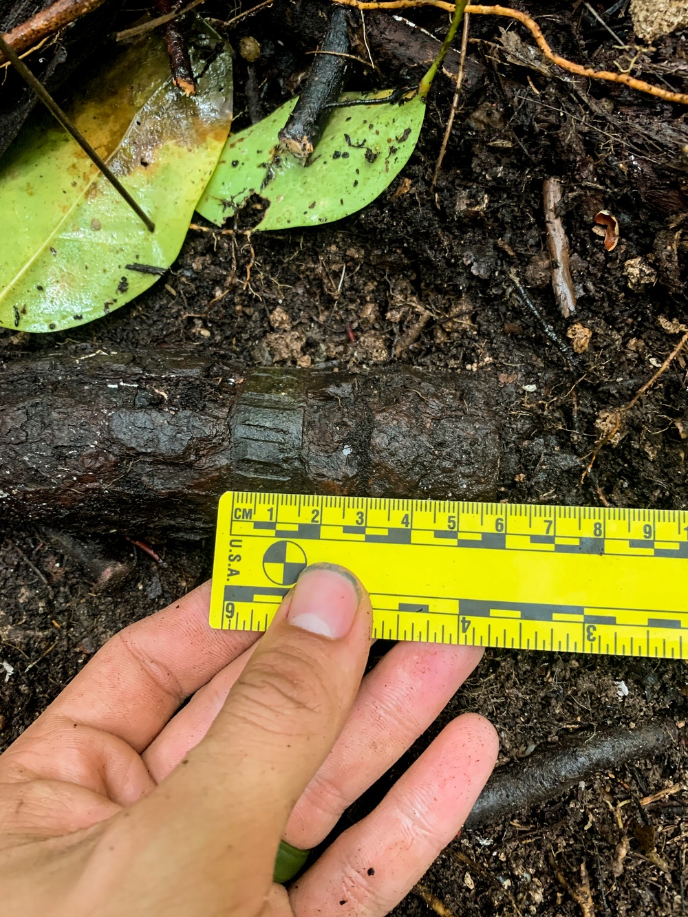EOD Marines Sweep Jungle for UXO
