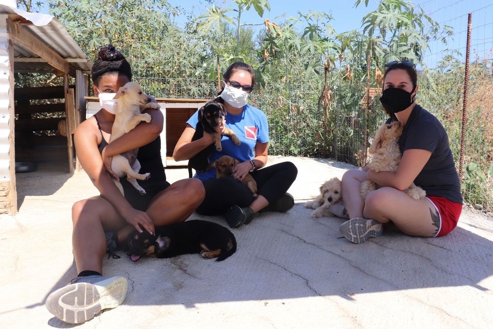 NSA Souda Bay, Greece, Sailors Volunteer at Local Animal Shelter