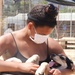 NSA Souda Bay, Greece, Sailors Volunteer at Local Animal Shelter