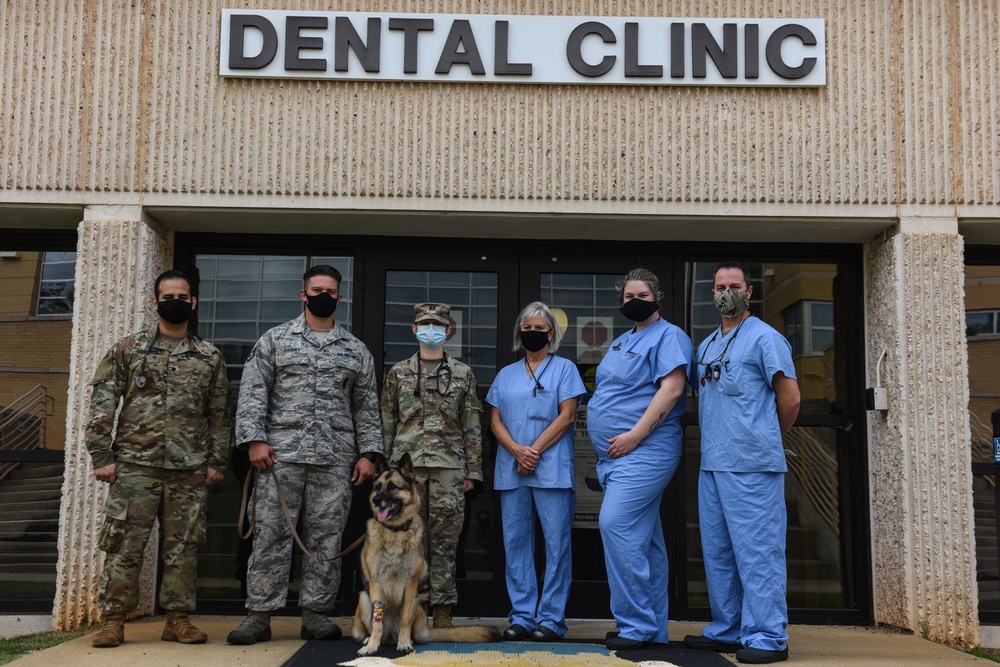 MWD root canal