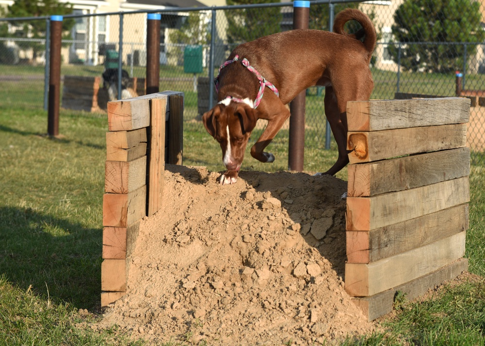 Eagle Scout transforms on-base Dog Park