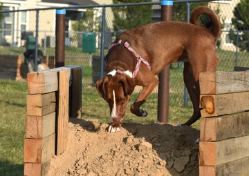 New RIA park to offer furry family members space for play